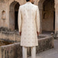 Traditional Embroidered Sherwani Set ( 50JSH 102Golden L )