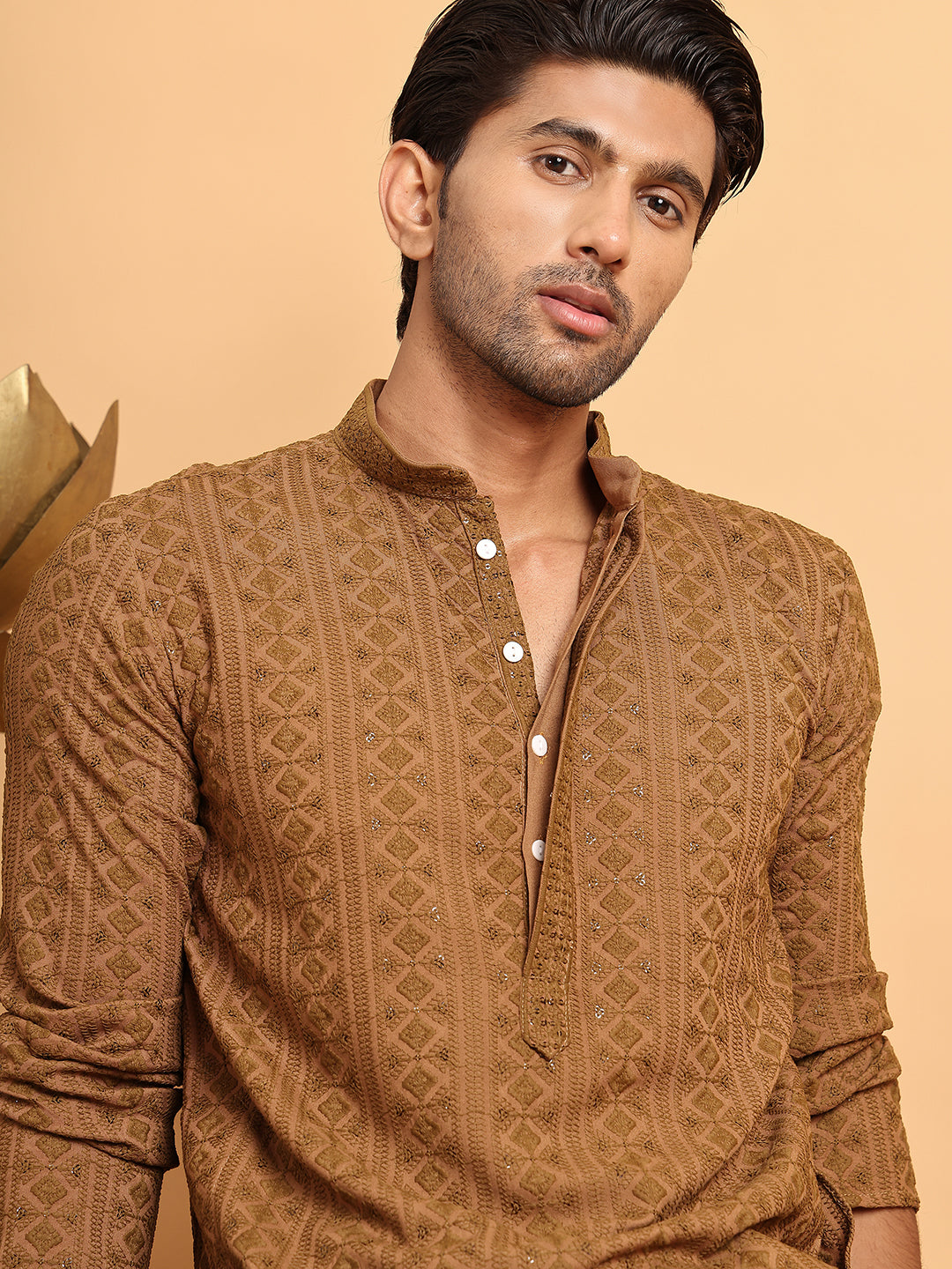 Embroidered & Sequins Straight Kurta Set For Men ( JOKP P 5116Brown )