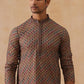 Multicolor Embroidered Viscose Rayon Kurta ( KO 5282 Brown )