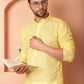 Chikankari Pure Cotton Kurtas