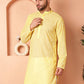 Chikankari Pure Cotton Kurtas