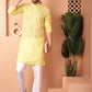 Chikankari Pure Cotton Kurtas
