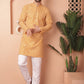Chikankari Pure Cotton Kurtas