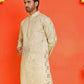 Embroidered & Sequins Kurtas ( KO 5233 Pista )