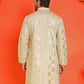 Embroidered & Sequins Kurtas ( KO 5233 Pista )