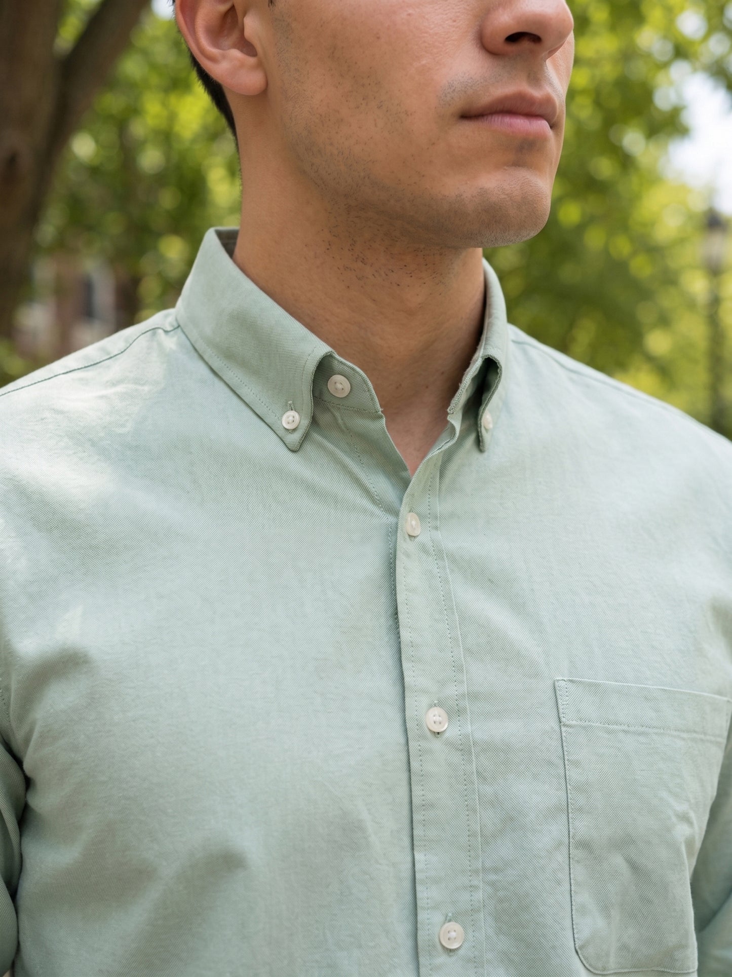 Men Regular Fit Solid Button-Down Collar Formal Shirt ( RDSH 9042Pista )